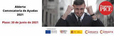 bases Programa PICE C�mara 2021