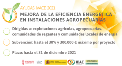 Bases de la Convocatoria