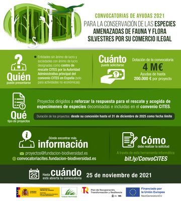 Fundaci�n Biodiversidad- Cities