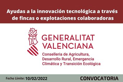Ayudas a la innovación tecnológica a través de fincas o explotaciones colaboradoras