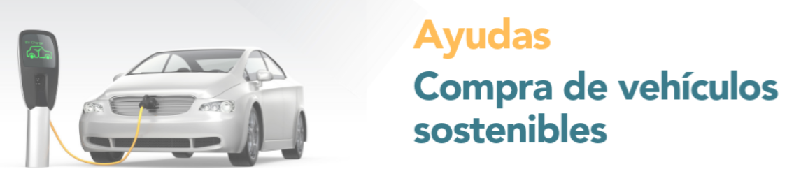 MOVES III - VEH�CULOS COMUNITAT VALENCIANA 2021