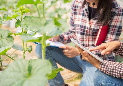 subvenciones destinadas a entidades de mujeres rurales de �mbito nacional para el ejercicio 2022