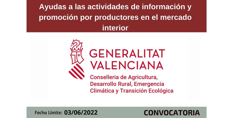 Ampliar imagen