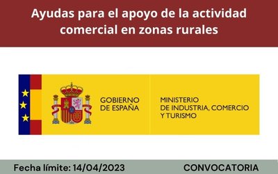 Bases de la convocatoria
