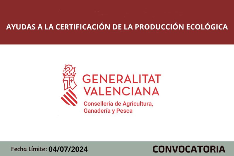 Ampliar imagen