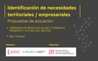 Empresas de servicios de Elche y comarca: Presente y futuro del sector- Propuesta de actuacin