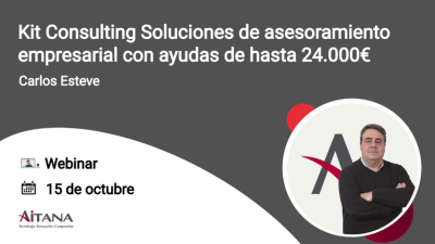 portada webinar ayudas