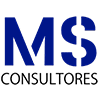 Ms consultores