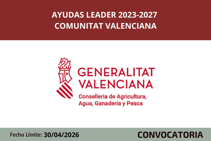 Ampliar imagen