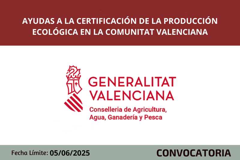 Ampliar imagen