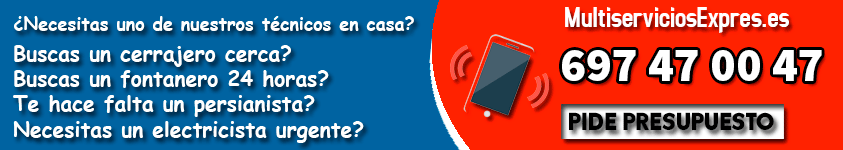 Multiservicios Express