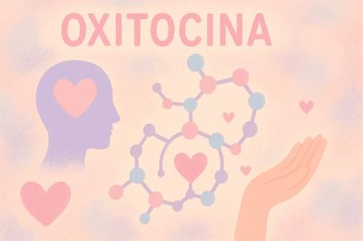 ¿Qué papeles juega la oxitocina en nuestro organismo?
