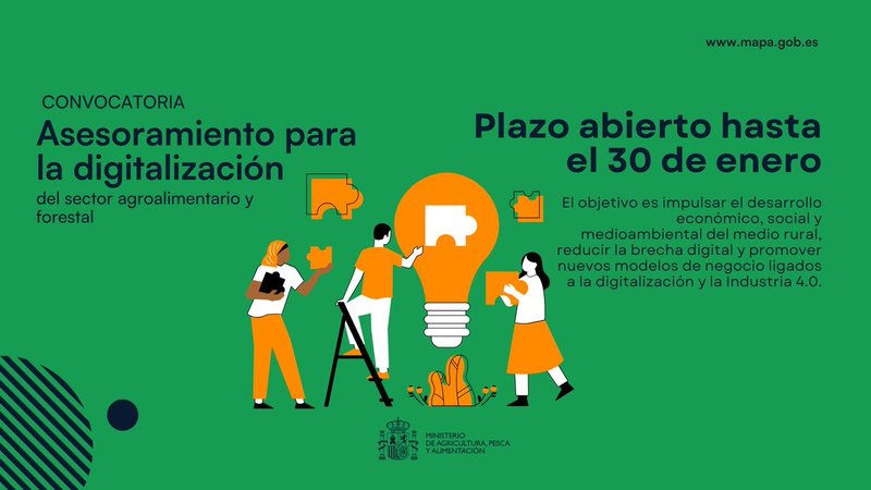 Ampliar imagen