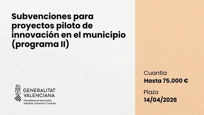 Subvenciones para proyectos piloto de innovaci�n en el municipio (programa II)