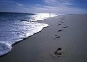 froca