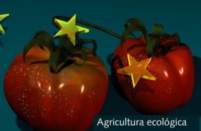 Portada Ficha Agricultura Ecol�gica