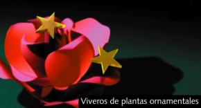 Portada Ficha Vivero de Plantas Ornamentales