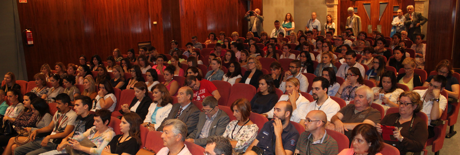 Plenario Enrédate Alzira 2015