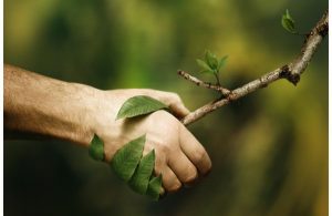 �C�MO EMPRENDER EN LA NUEVA ECONOM�A?