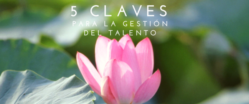 5 ideas errneas sobre la gestin del Talento