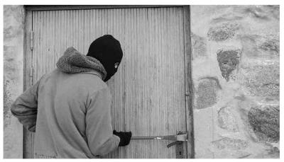 �Qu� les gusta robar a los ladrones?