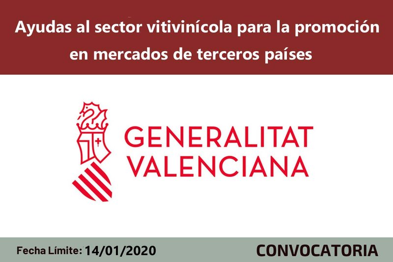 Ampliar imagen