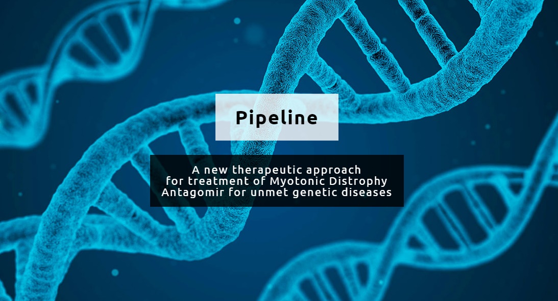 Arthex Biotech