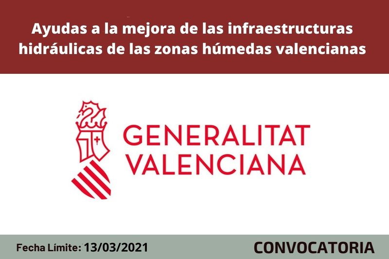 Ampliar imagen