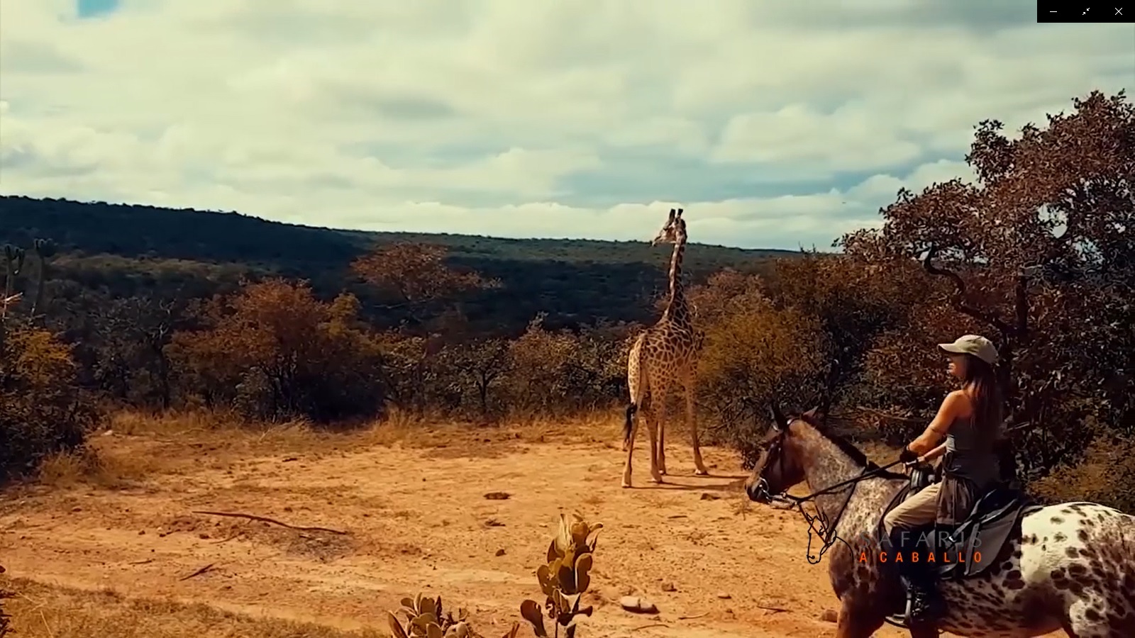 MOA Safaris
