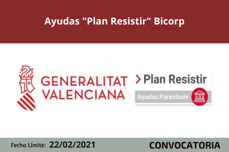 Ampliar imagen