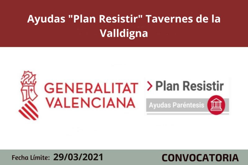 Ampliar imagen