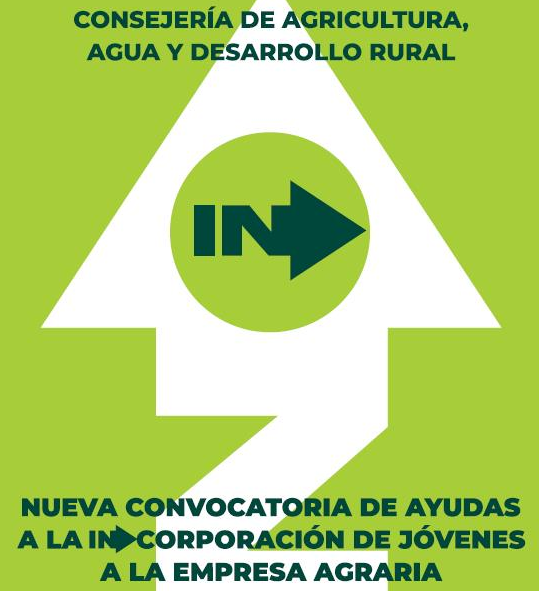 Ampliar imagen