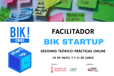 Sesiones teórico-prácticas Facilitador BIK Startup. Online