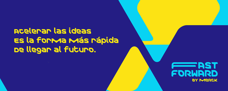 Ampliar imagen