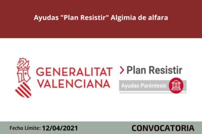 Bases de la convocatoria