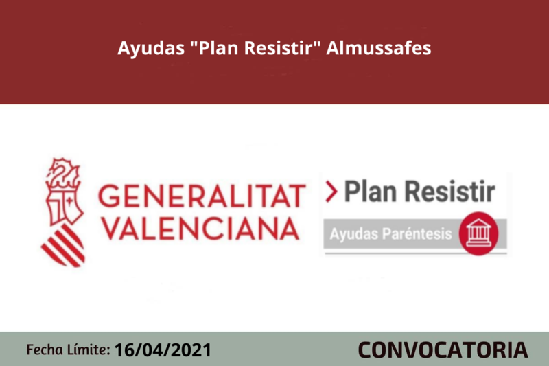 Ampliar imagen