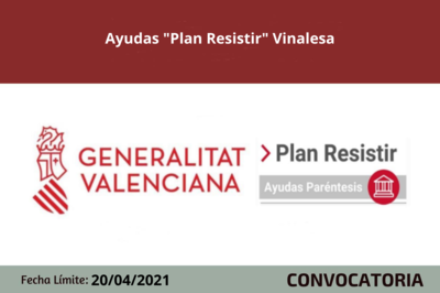 Bases de la convocatoria