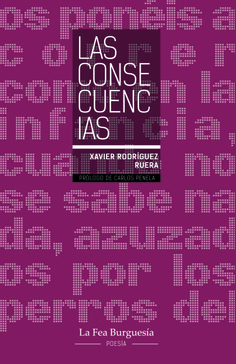 Las consecuencias - libro de poesa